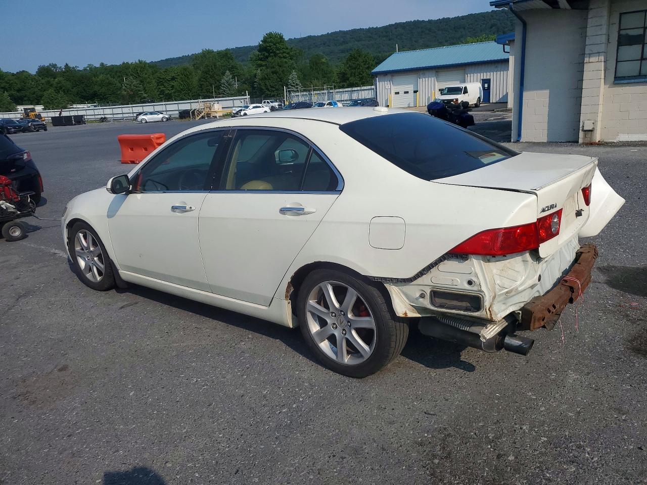 2005 Acura Tsx White vin: JH4CL96885C030339