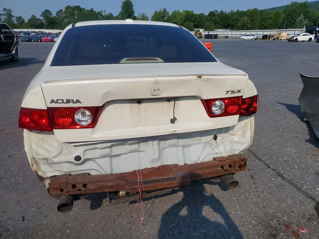 2005 Acura Tsx White vin: JH4CL96885C030339