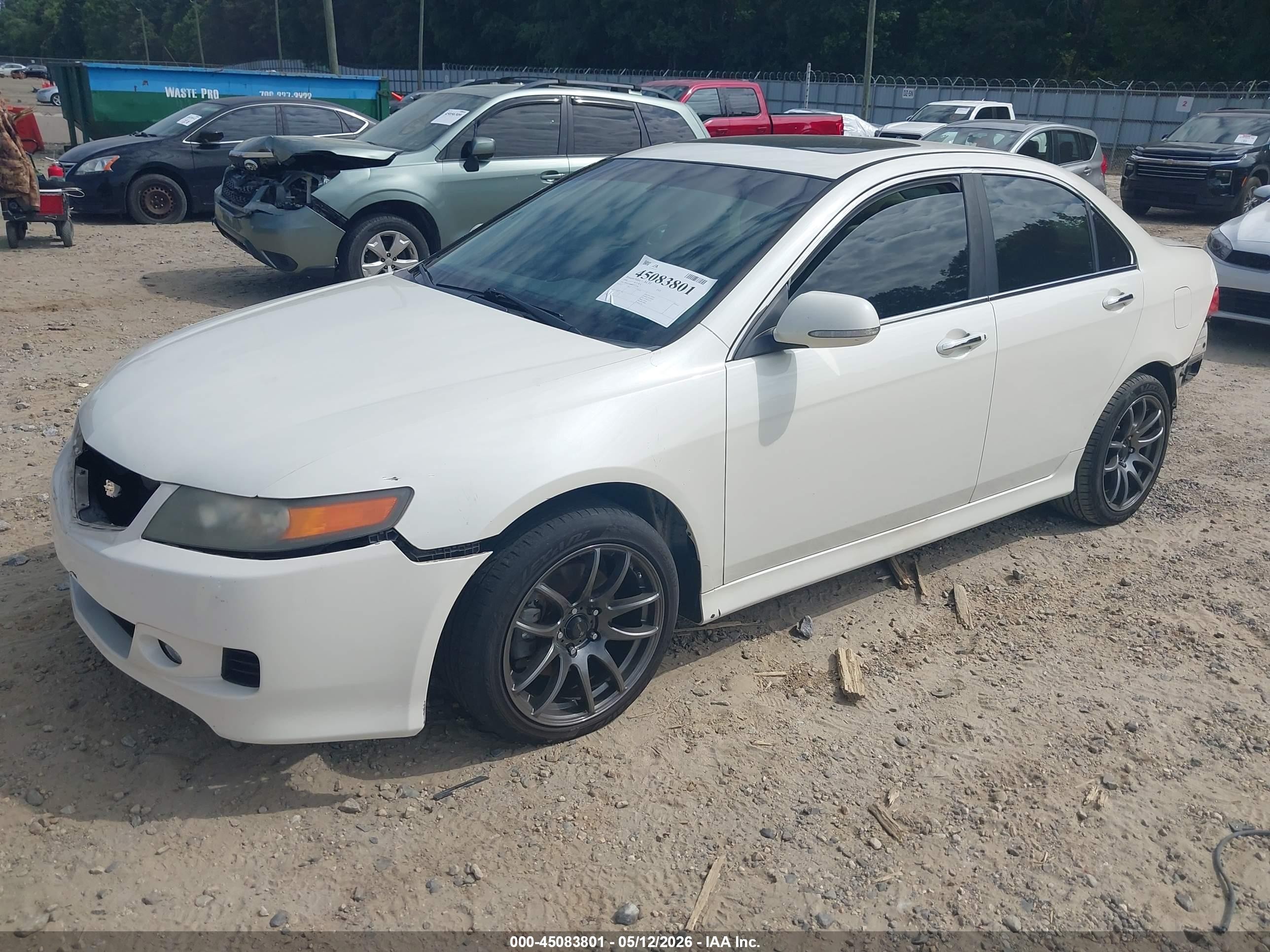 2006 Acura Tsx   White vin: JH4CL96886C032190