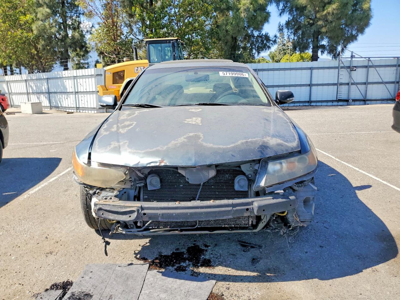 2008 Acura Tsx Green vin: JH4CL96888C010449