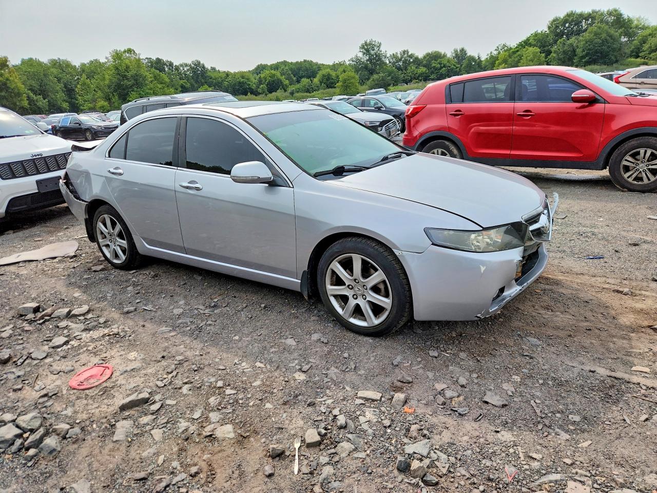 2004 Acura Tsx Silver vin: JH4CL96894C027996