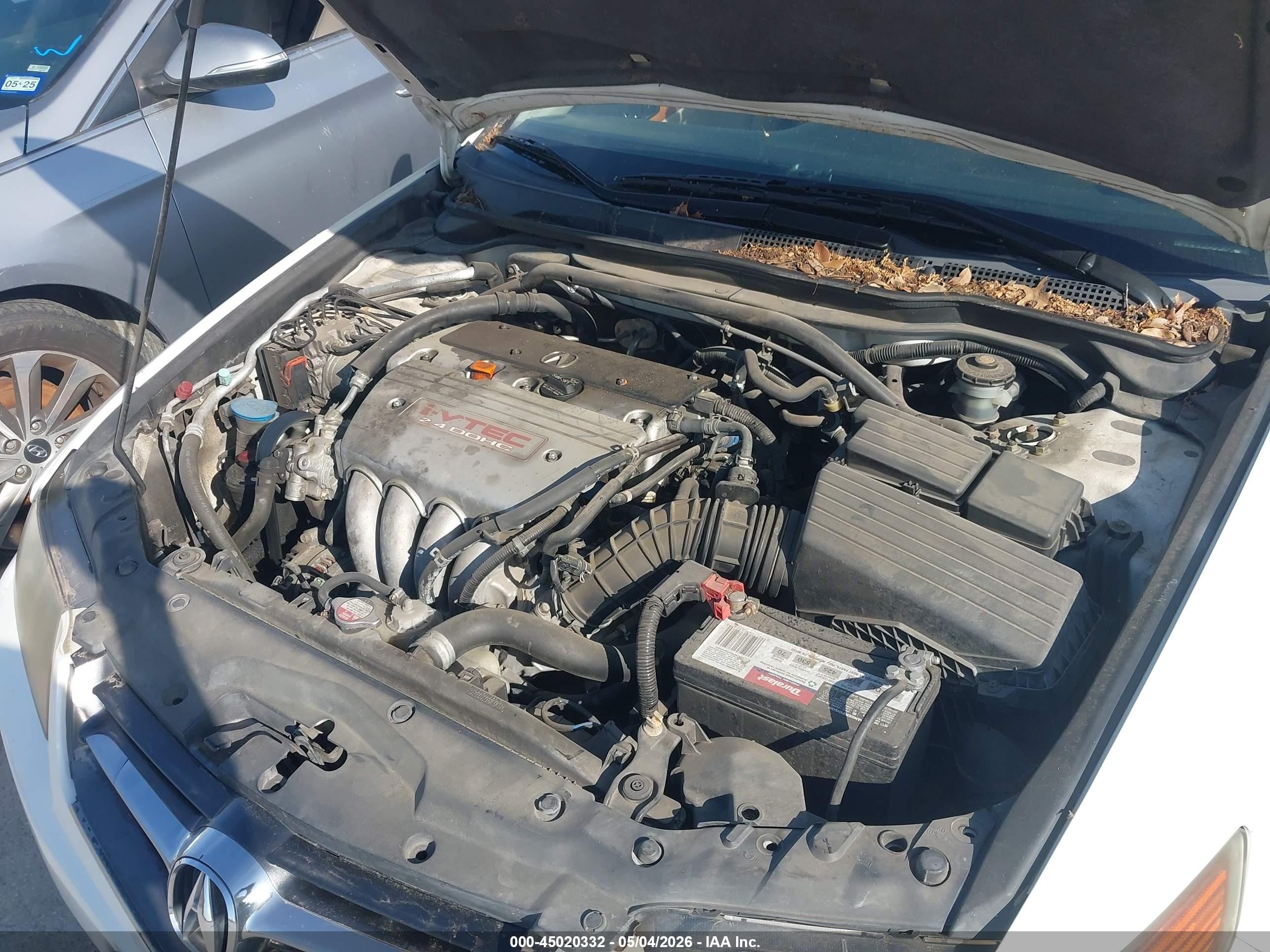 2004 Acura Tsx   Белый vin: JH4CL96894C040442