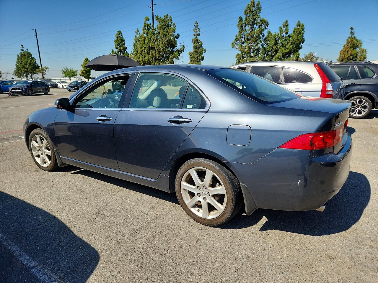 2004 Acura Tsx Серый vin: JH4CL96894C043857