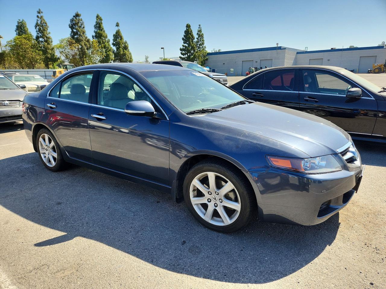 2004 Acura Tsx Серый vin: JH4CL96894C043857