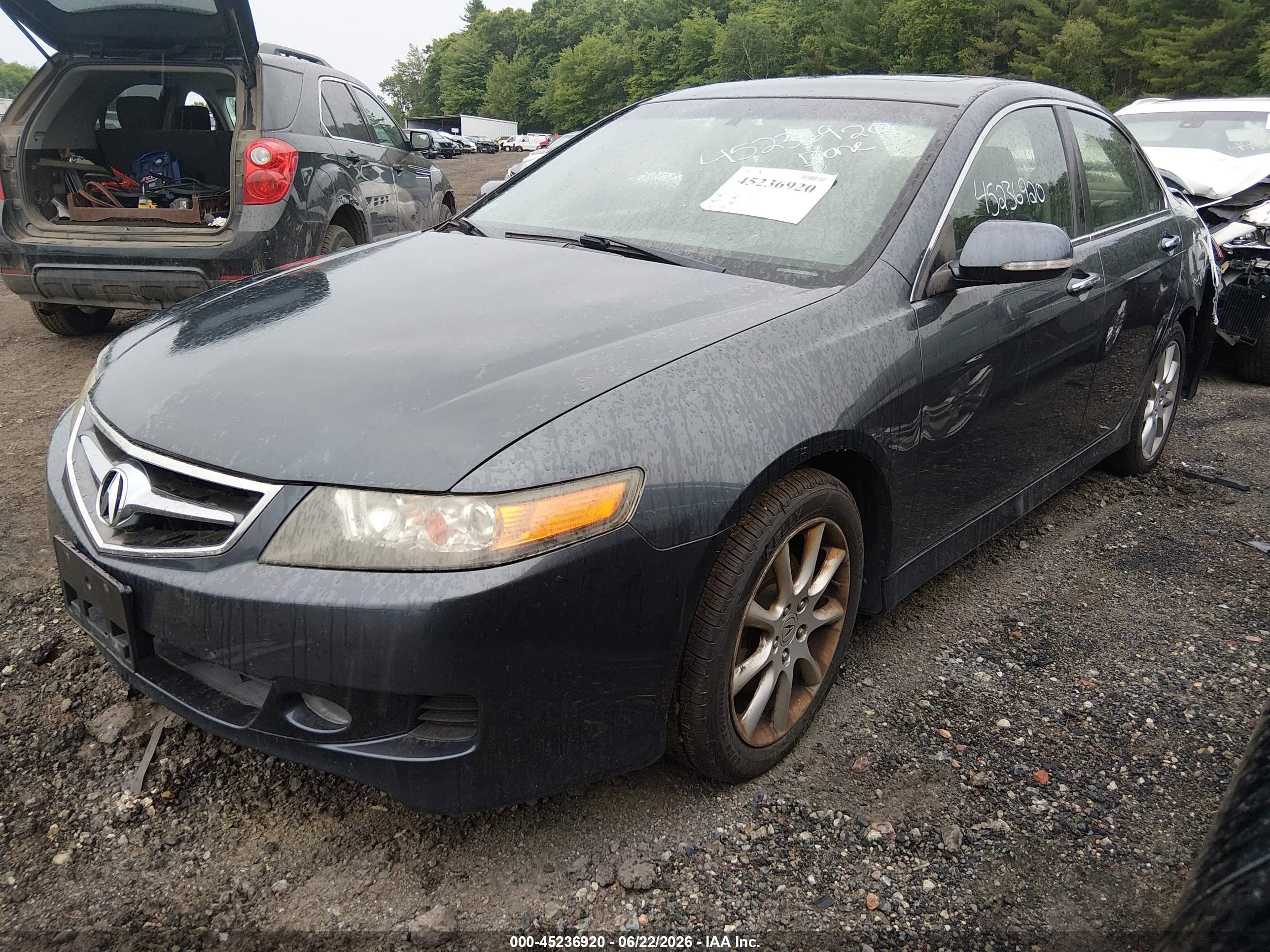 2006 Acura Tsx   Gray vin: JH4CL96896C005189