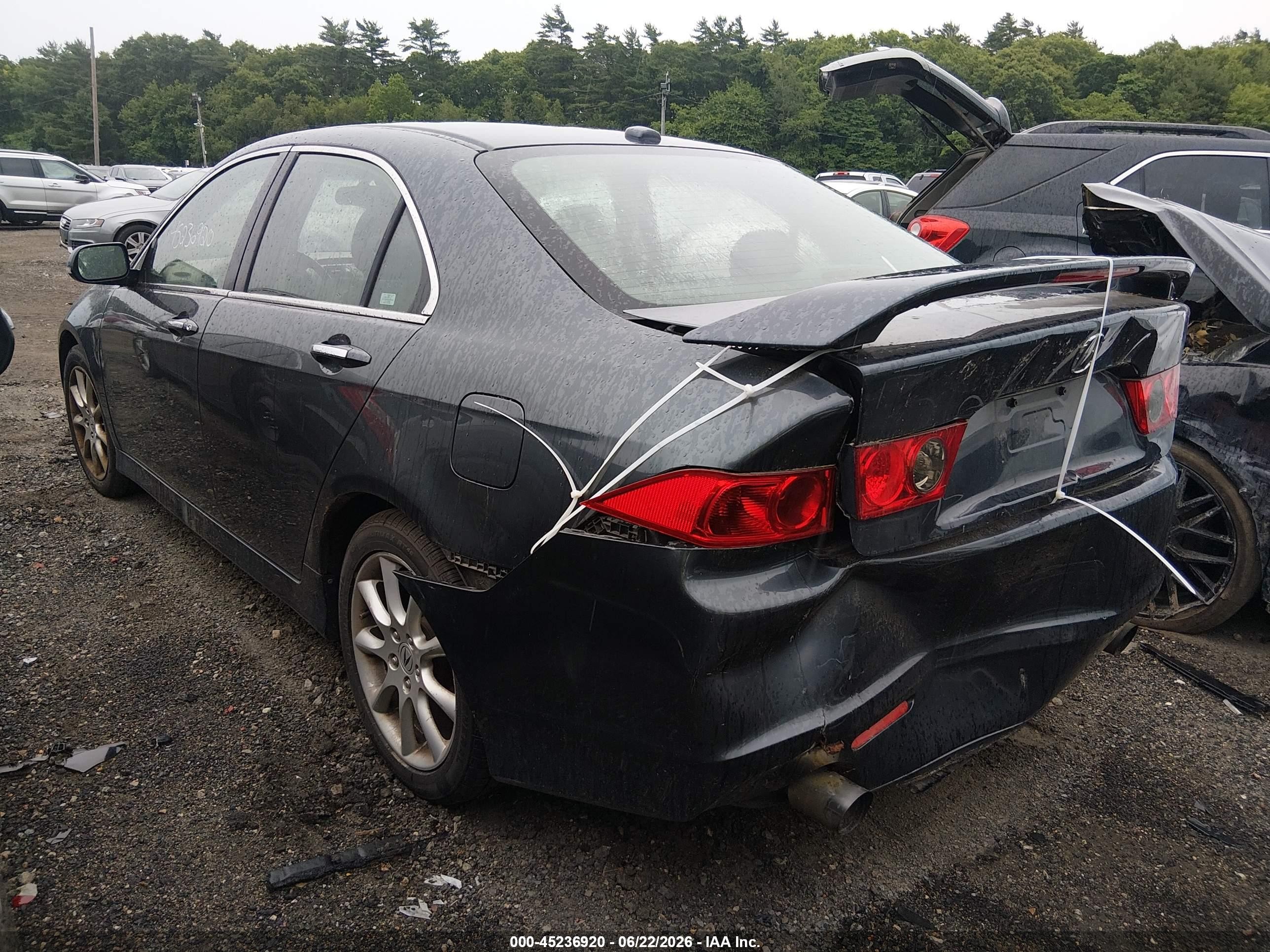 2006 Acura Tsx   Gray vin: JH4CL96896C005189