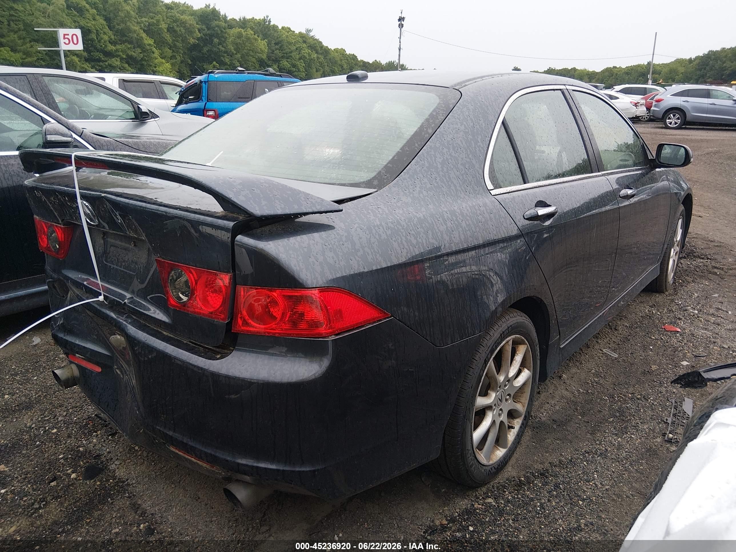 2006 Acura Tsx   Gray vin: JH4CL96896C005189