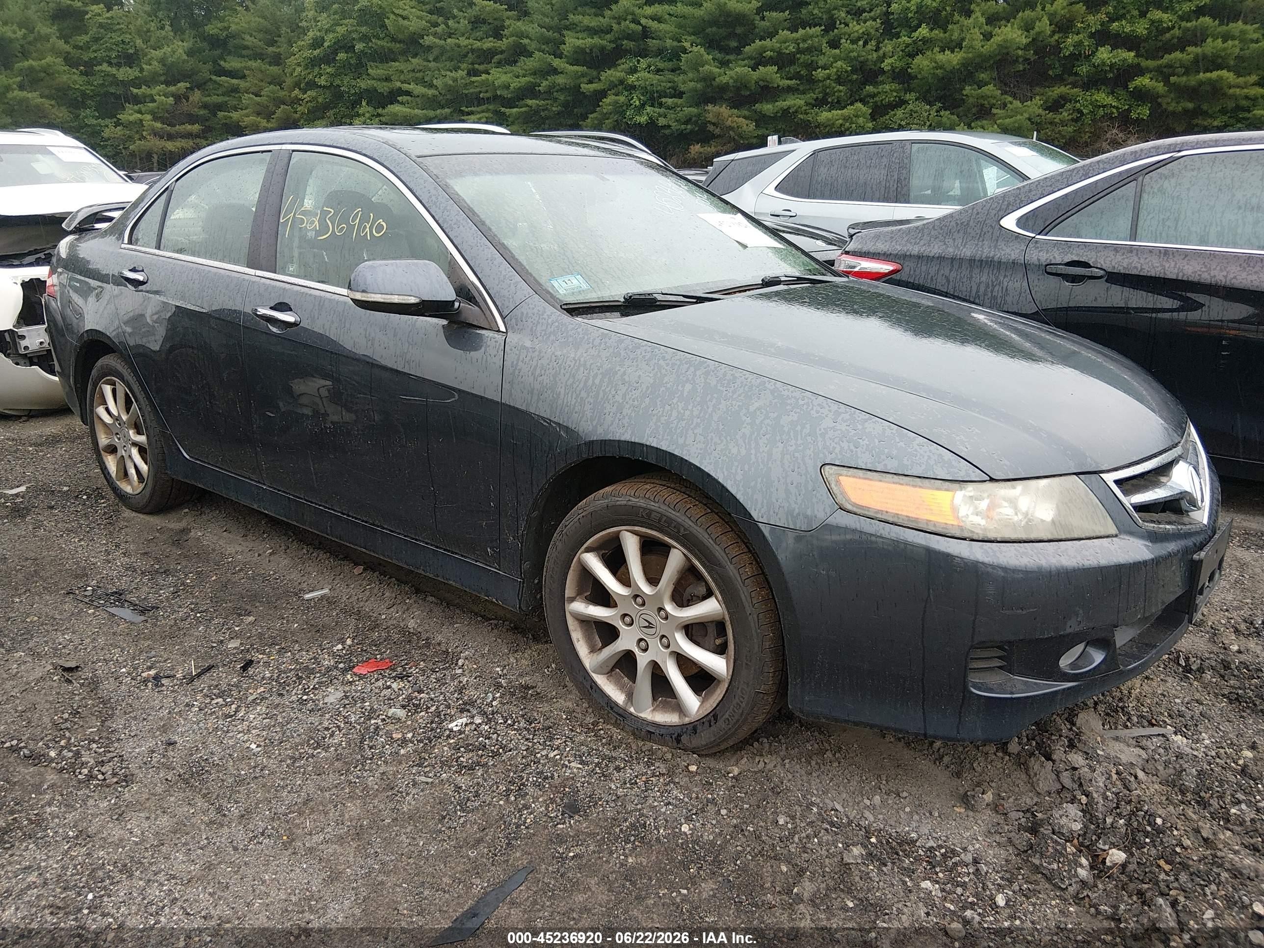 2006 Acura Tsx   Gray vin: JH4CL96896C005189