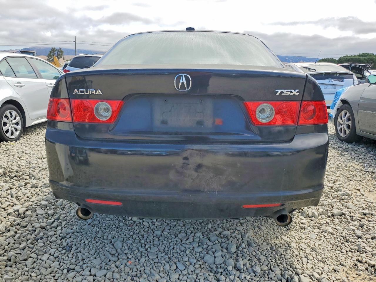 2006 Acura Tsx Black vin: JH4CL96896C010747