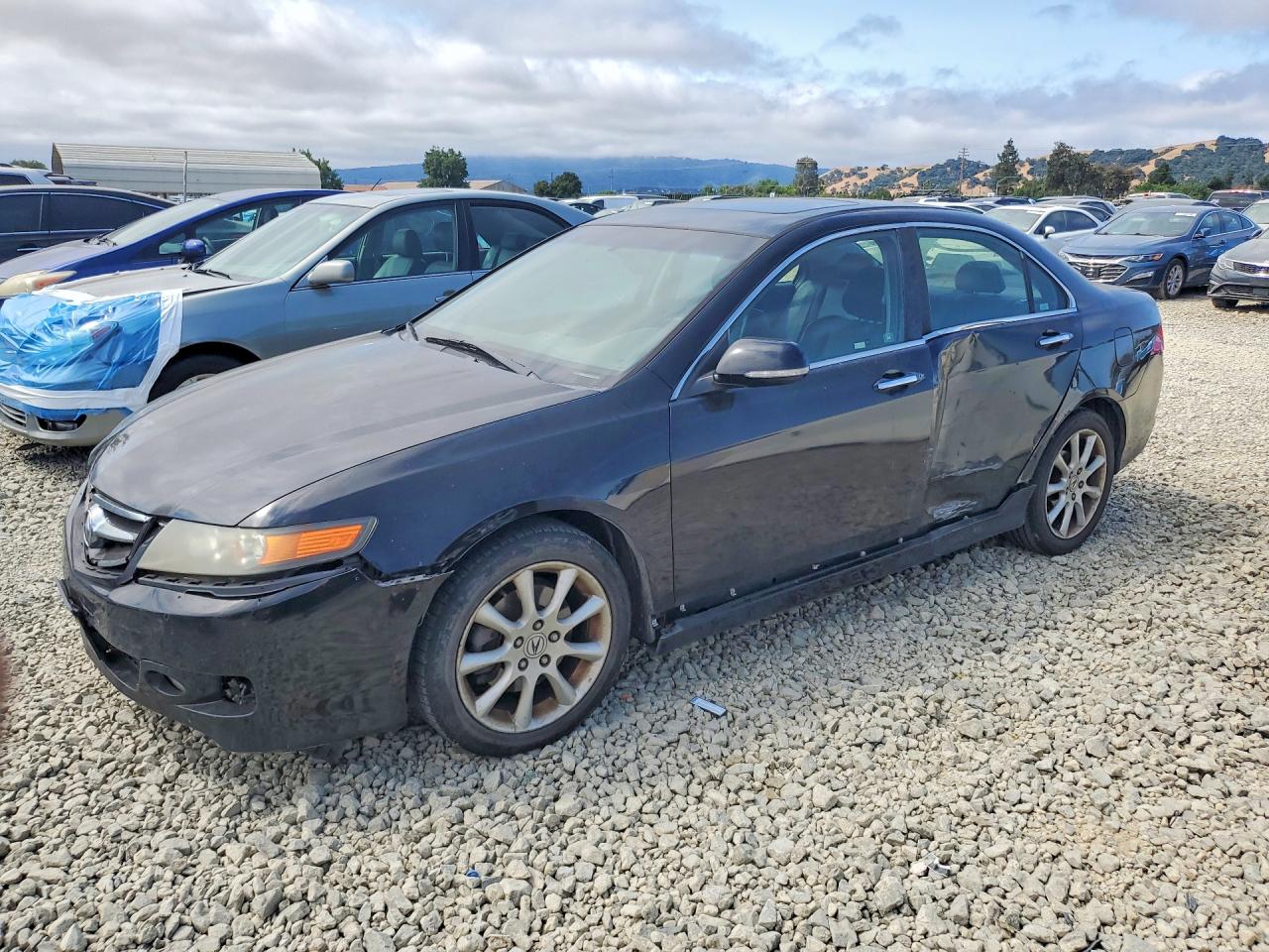 2006 Acura Tsx Black vin: JH4CL96896C010747