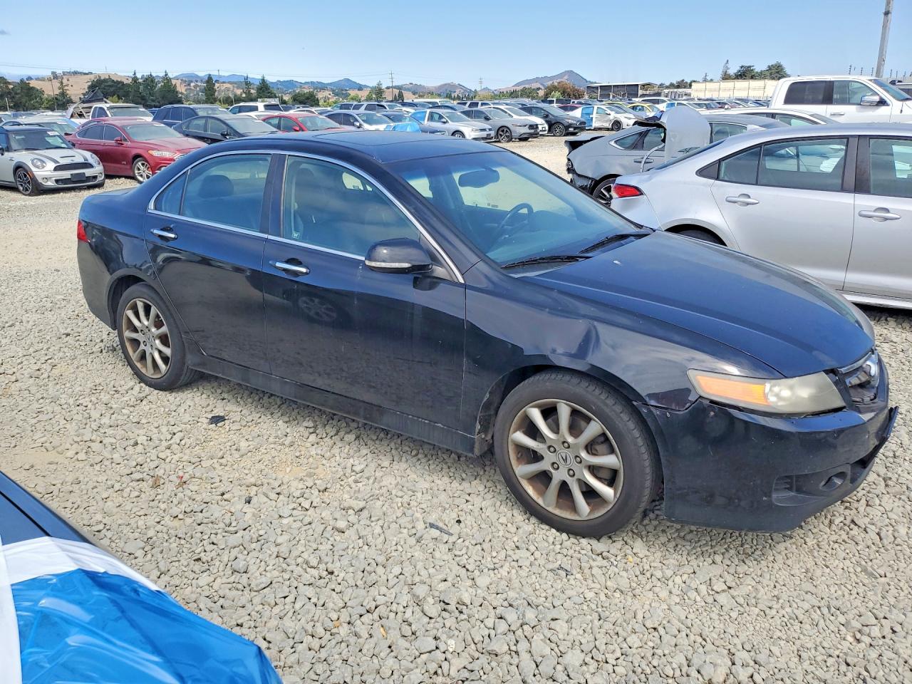2006 Acura Tsx Black vin: JH4CL96896C010747