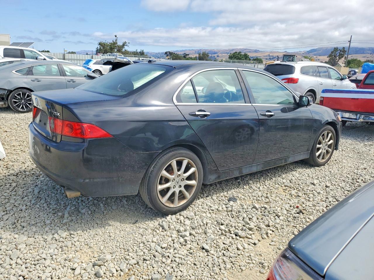 2006 Acura Tsx Black vin: JH4CL96896C010747