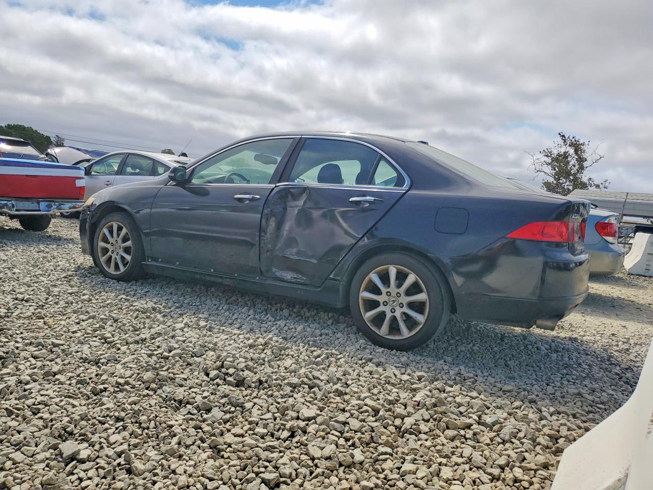 2006 Acura Tsx Black vin: JH4CL96896C010747