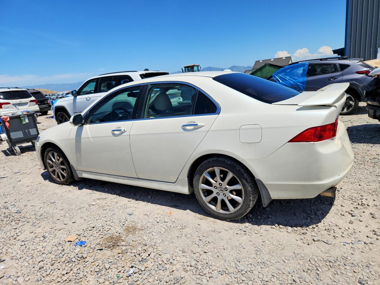 2006 Acura Tsx White vin: JH4CL96896C013325