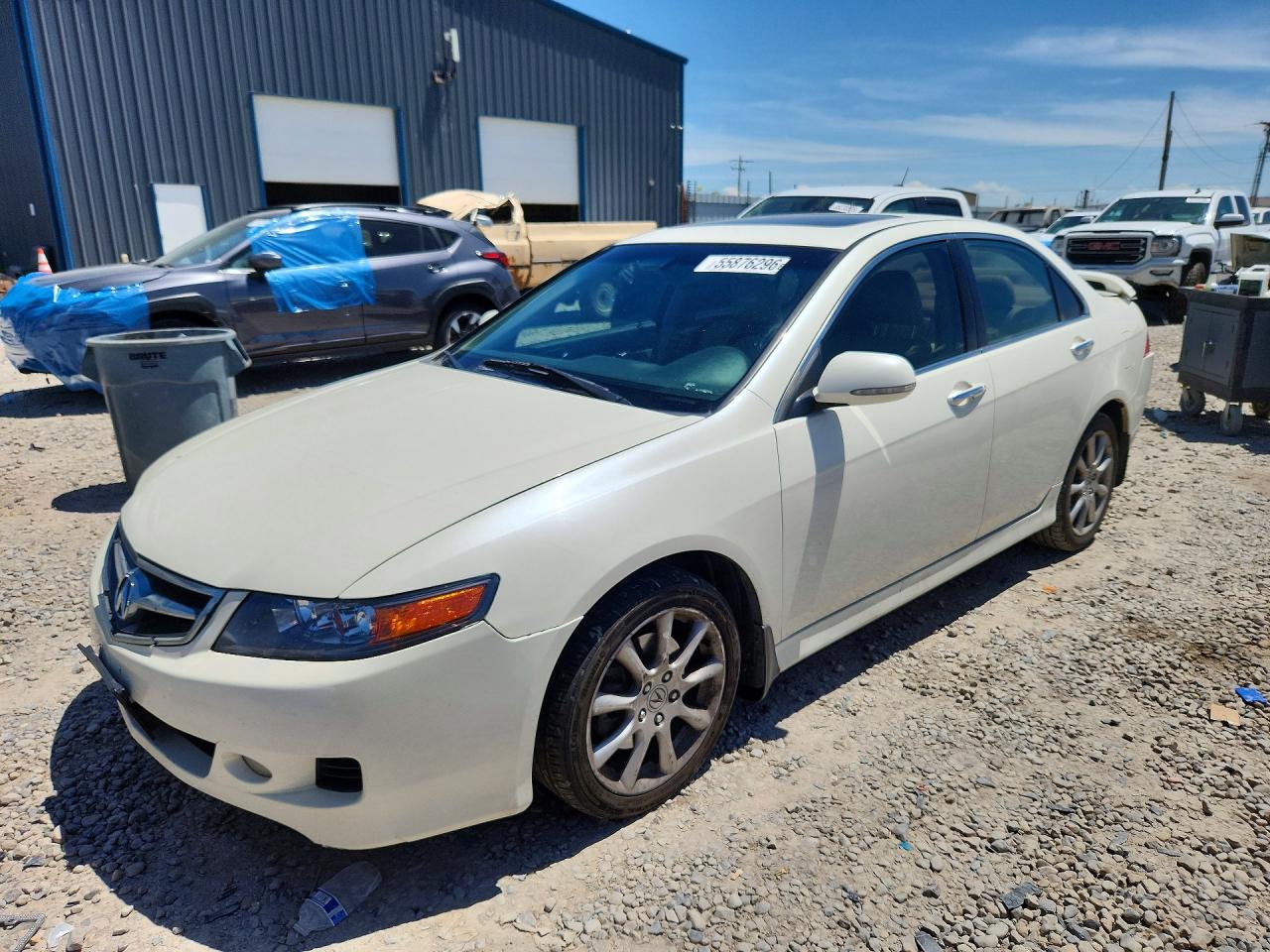 2006 Acura Tsx White vin: JH4CL96896C013325
