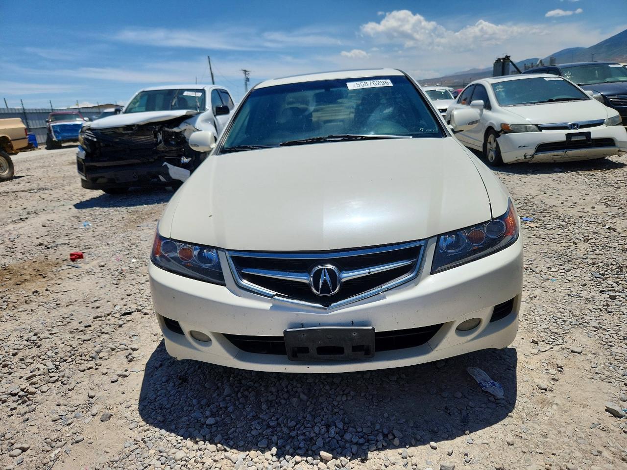 2006 Acura Tsx White vin: JH4CL96896C013325