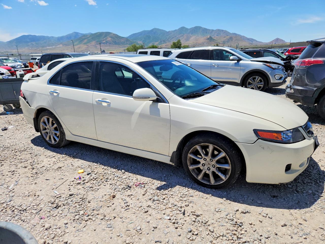 2006 Acura Tsx White vin: JH4CL96896C013325