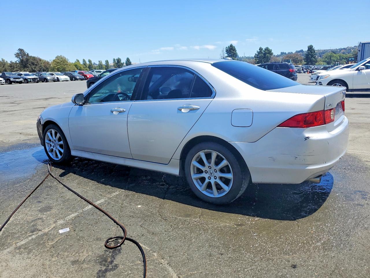 2006 Acura Tsx Silver vin: JH4CL96896C022011