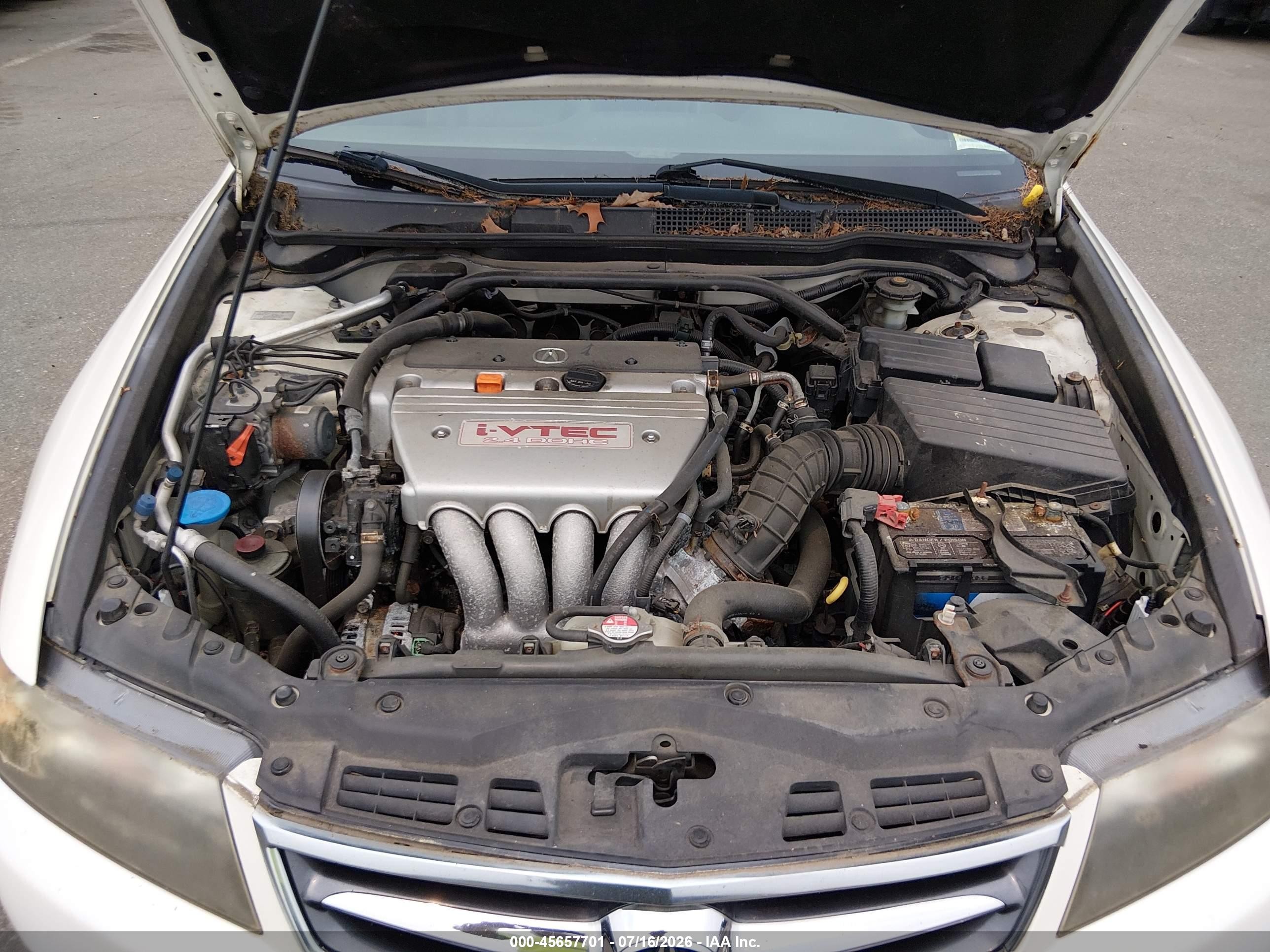 2006 Acura Tsx   Белый vin: JH4CL96896C036622