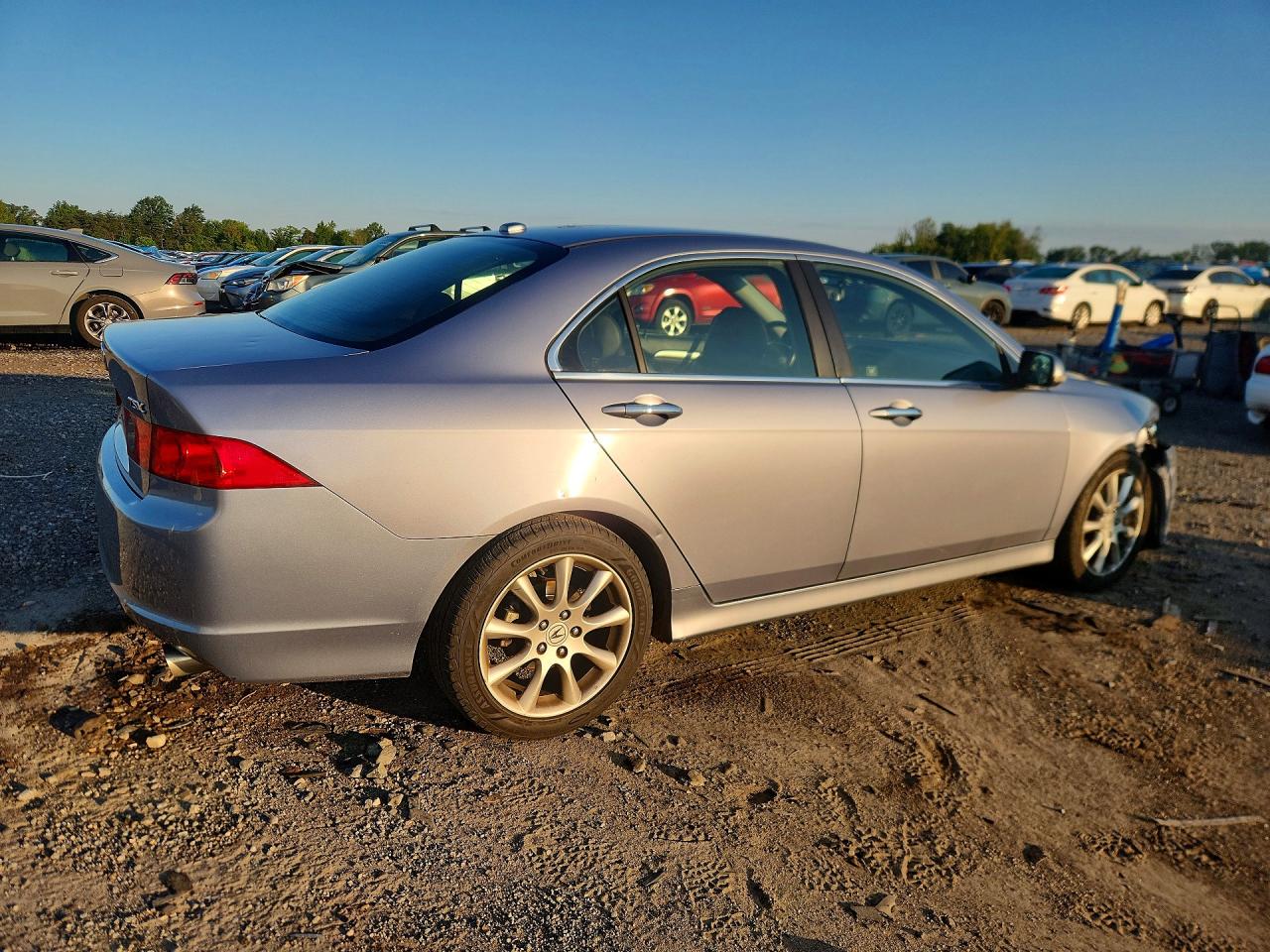 2008 Acura Tsx Blue vin: JH4CL96898C018530