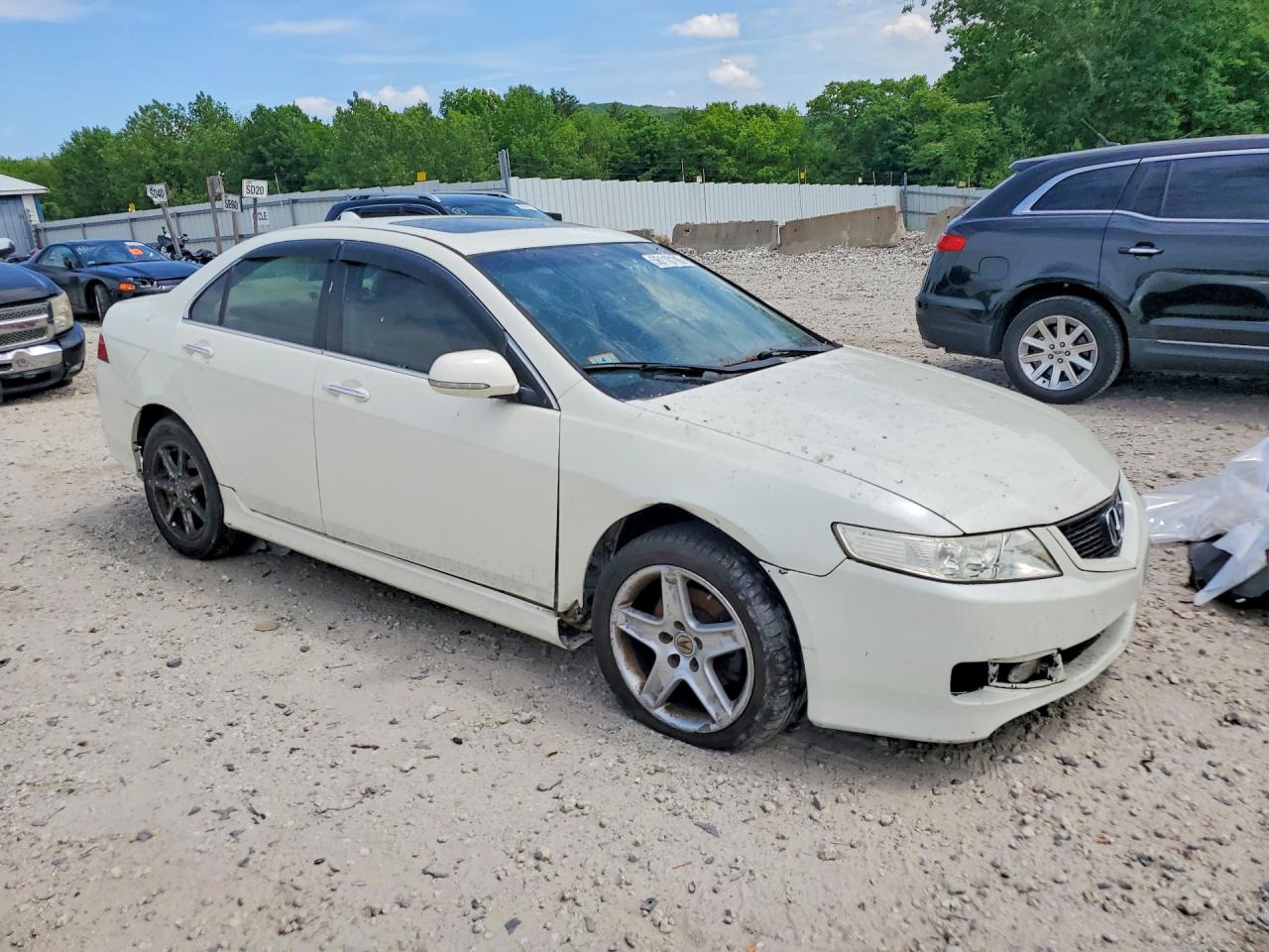 2006 Acura Tsx White vin: JH4CL968X6C009929
