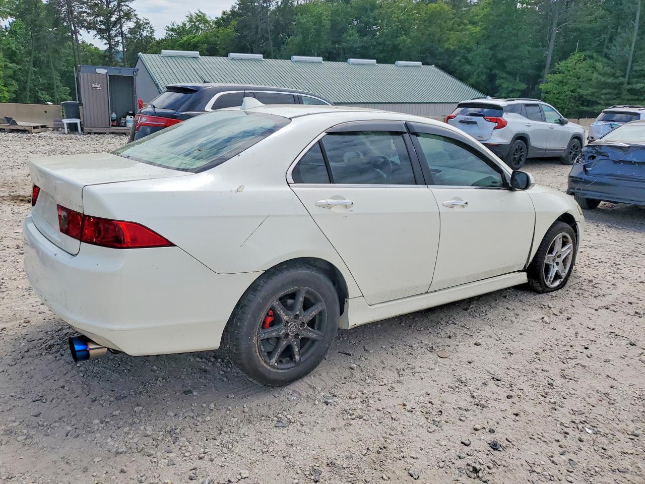 2006 Acura Tsx White vin: JH4CL968X6C009929