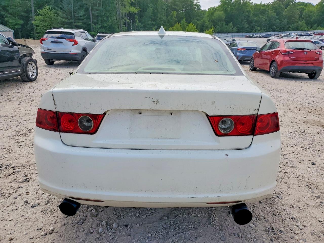 2006 Acura Tsx White vin: JH4CL968X6C009929
