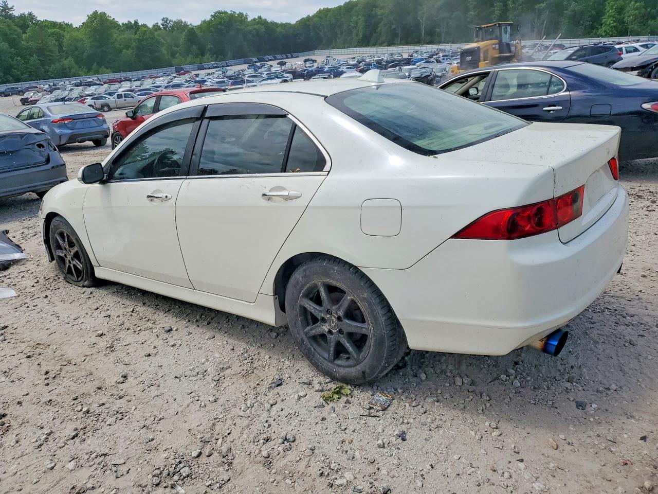2006 Acura Tsx White vin: JH4CL968X6C009929