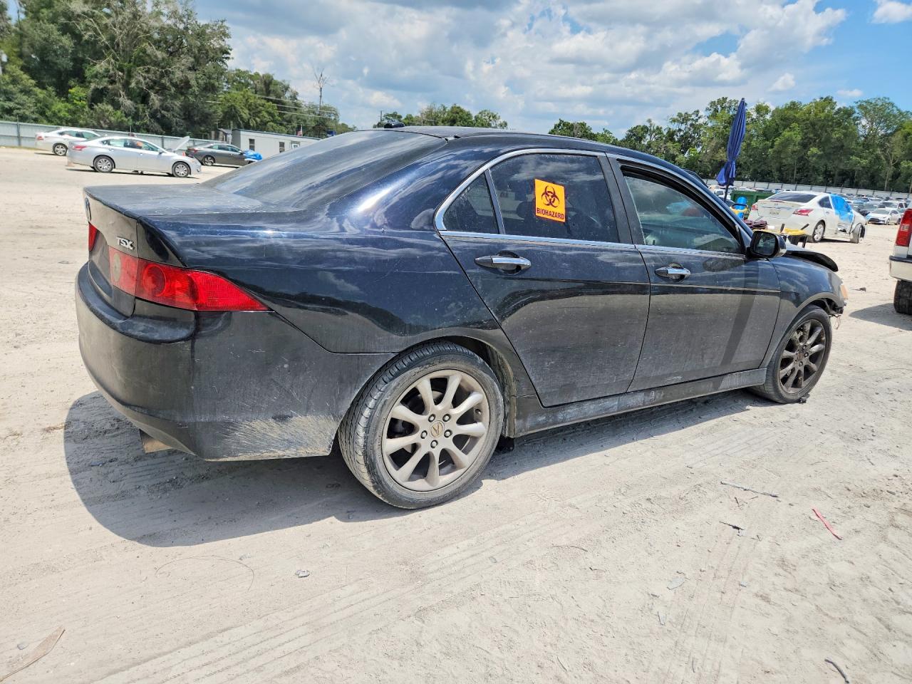 2006 Acura Tsx Black vin: JH4CL968X6C014242