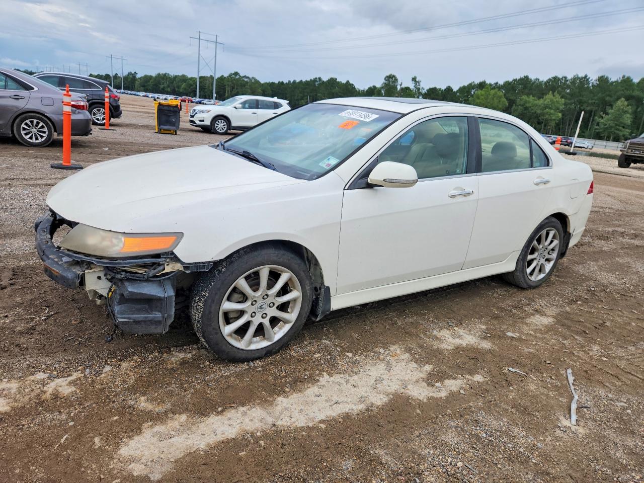 2006 Acura Tsx White vin: JH4CL968X6C036175