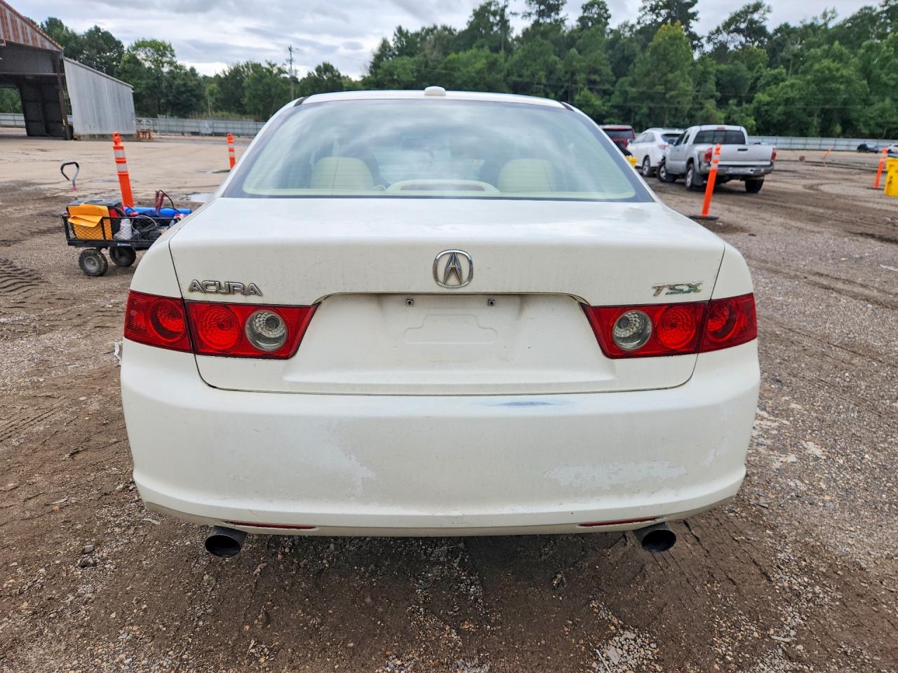 2006 Acura Tsx White vin: JH4CL968X6C036175