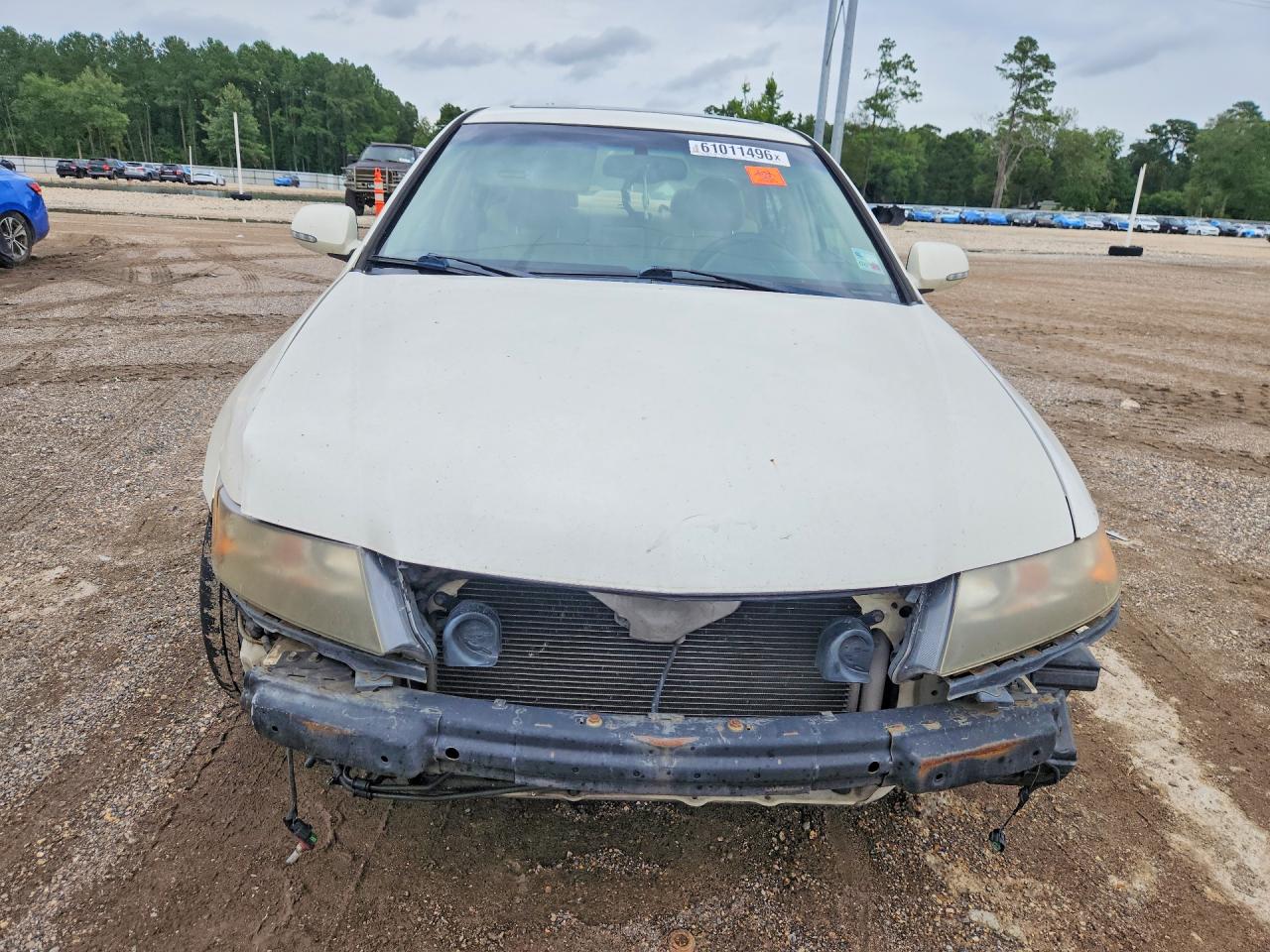 2006 Acura Tsx White vin: JH4CL968X6C036175