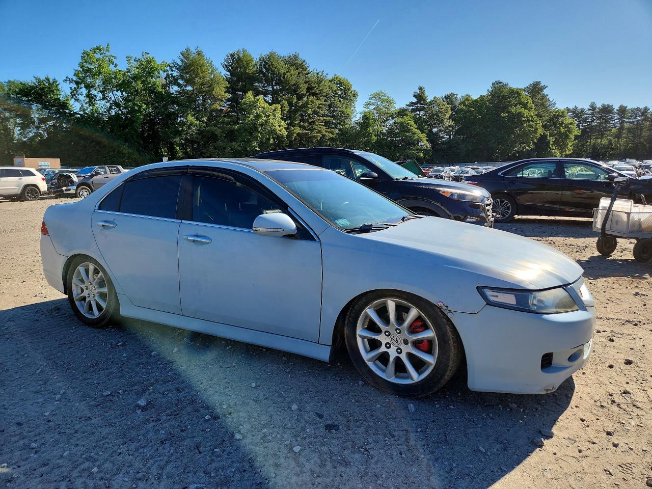 2008 Acura Tsx Gray vin: JH4CL968X8C005351
