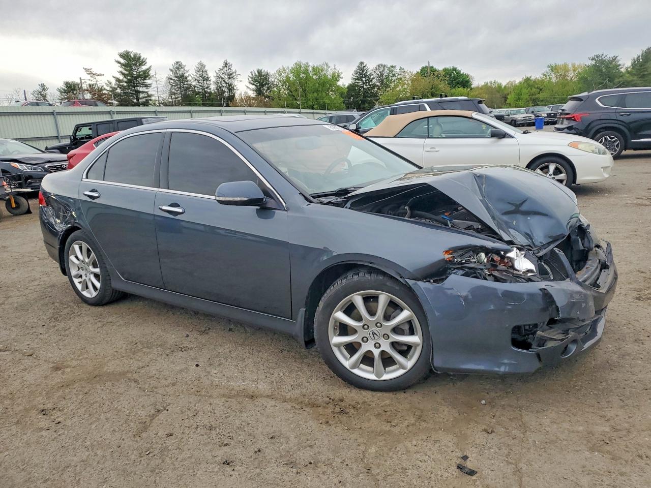 2008 Acura Tsx Gray vin: JH4CL968X8C006600
