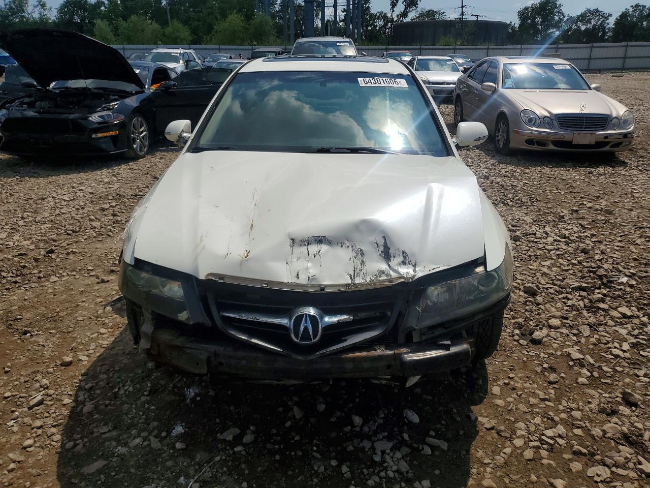 2005 Acura Tsx White vin: JH4CL96925C014288