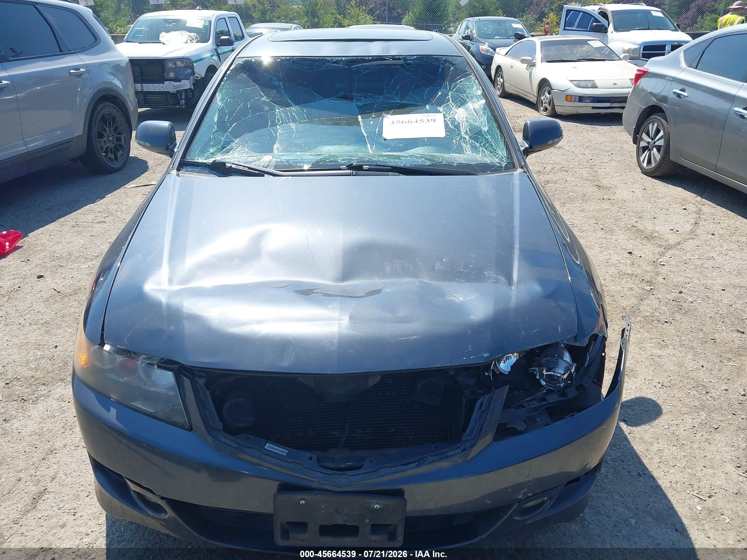 2006 Acura Tsx   Gray vin: JH4CL96936C033370