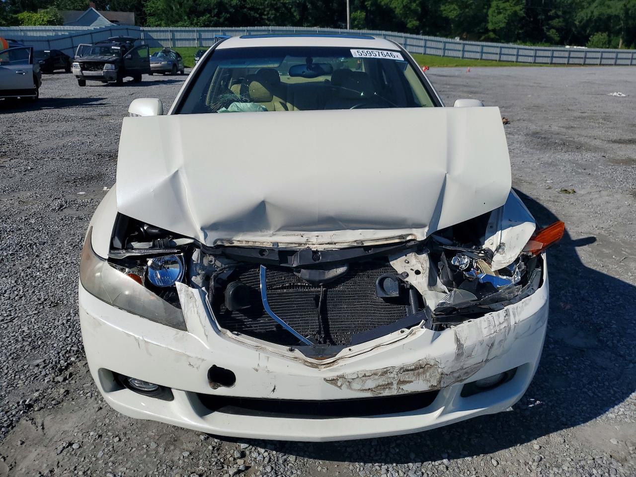 2005 Acura Tsx Белый vin: JH4CL96955C020814