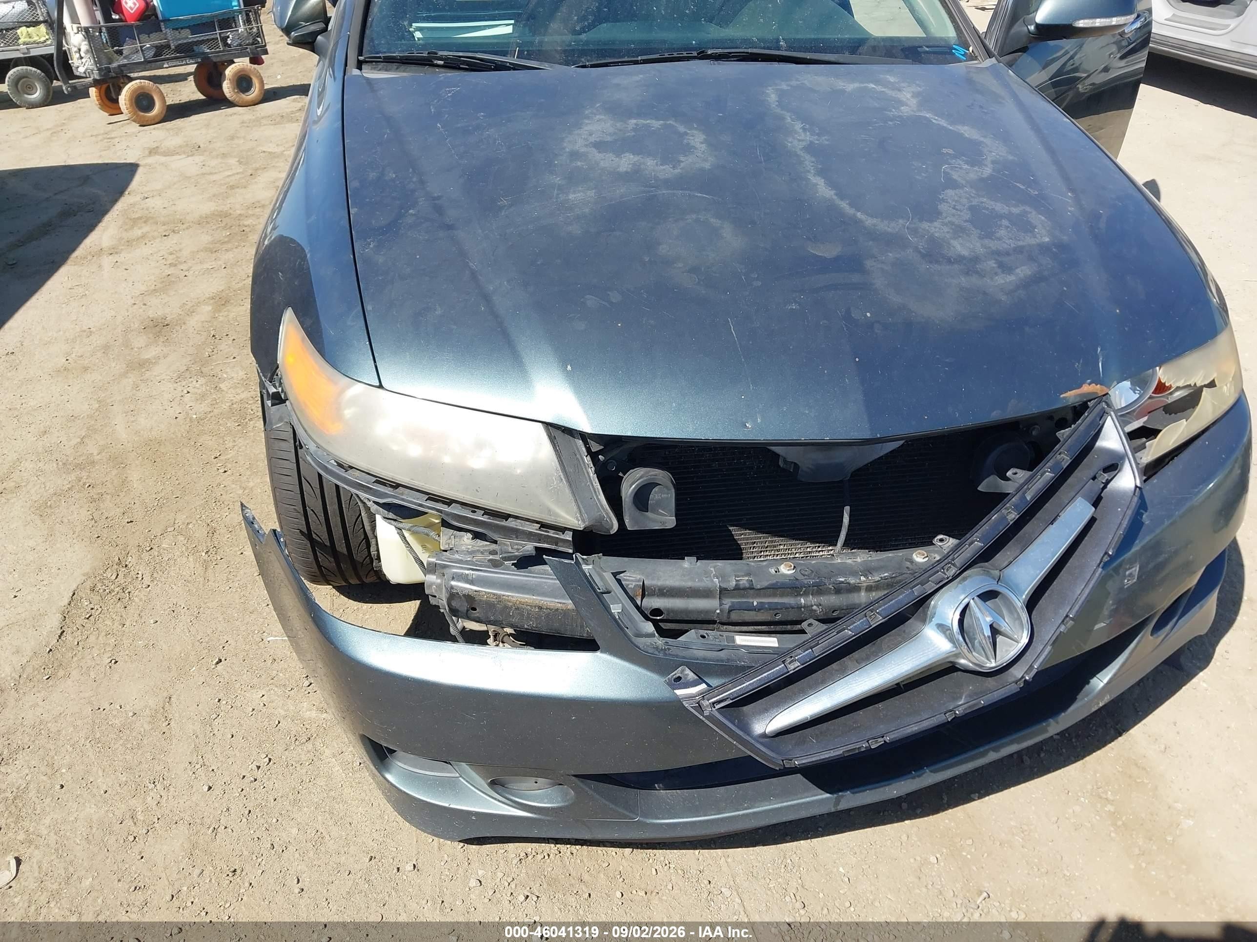 2006 Acura Tsx   Green vin: JH4CL96956C033709