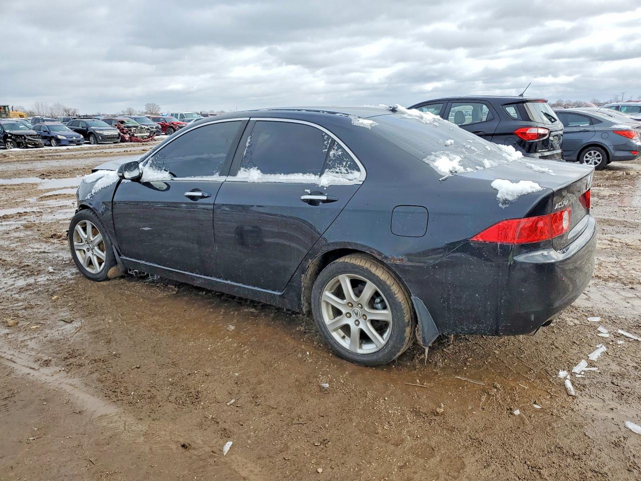 2005 Acura Tsx Black vin: JH4CL96965C023933