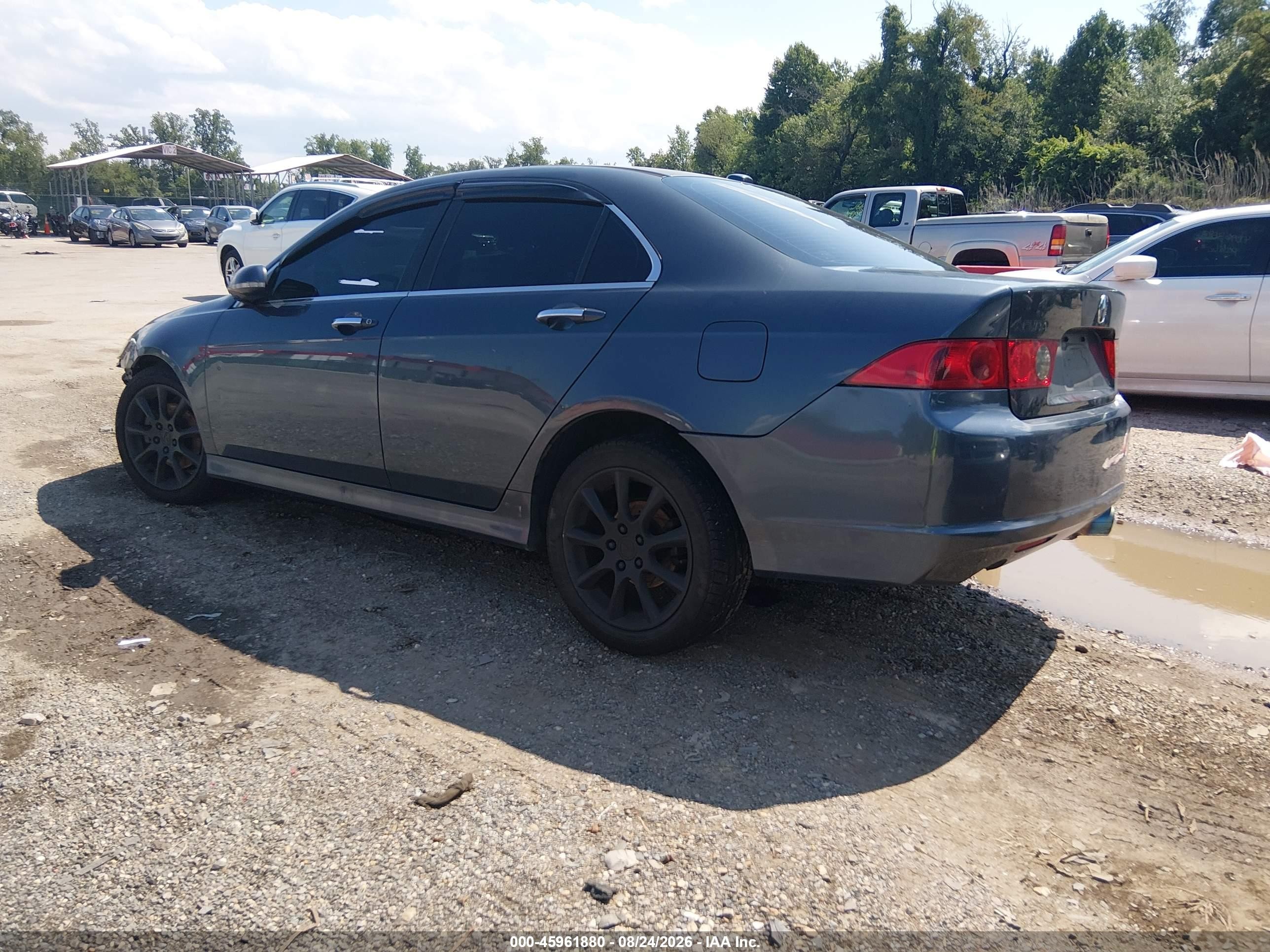 2006 Acura Tsx   Gray vin: JH4CL96966C012089