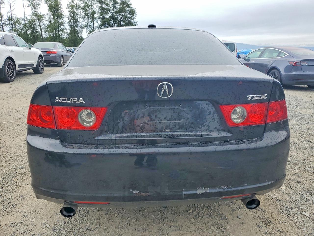 2007 Acura Tsx Black vin: JH4CL96967C001983
