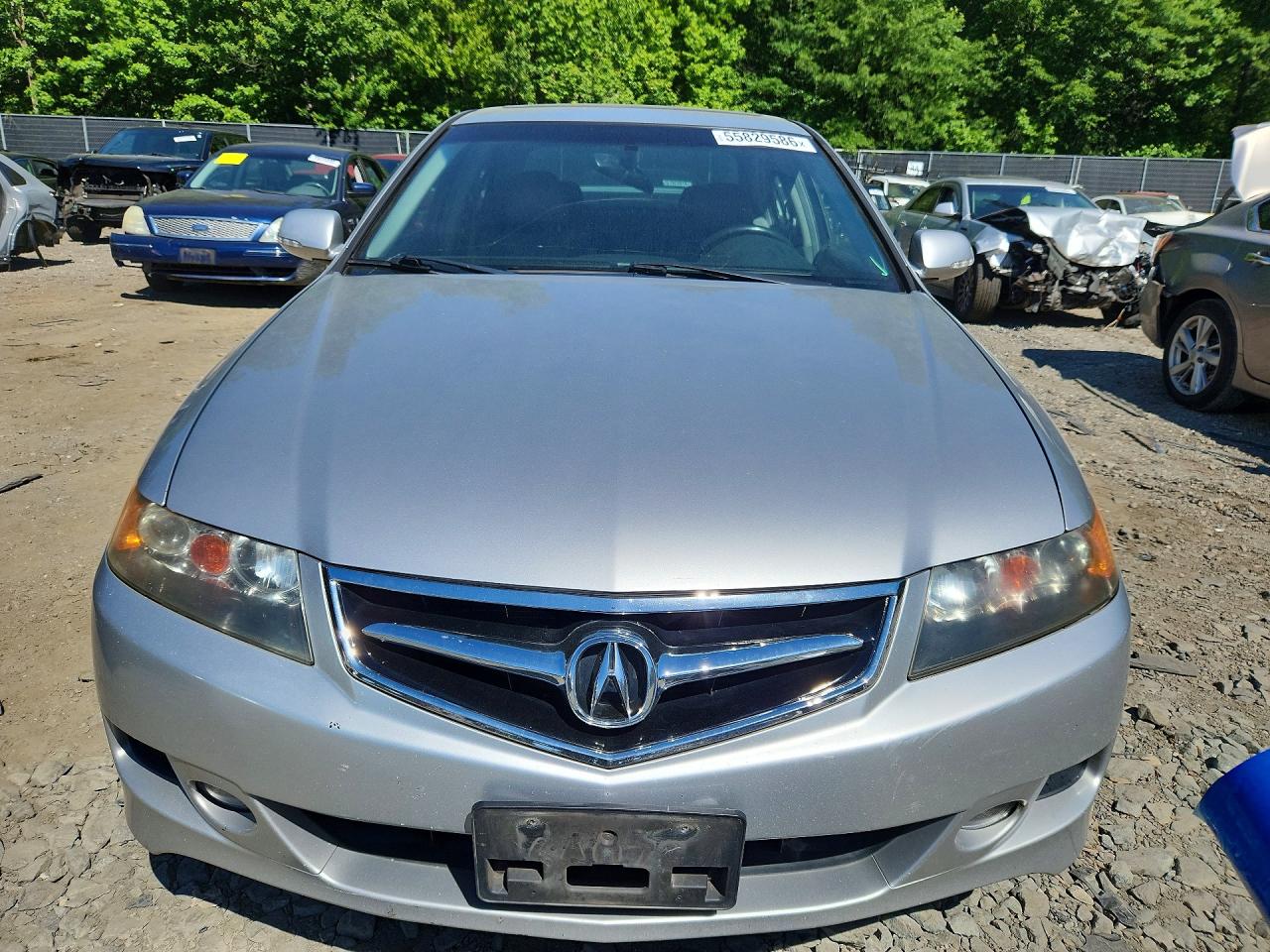 2008 Acura Tsx Silver vin: JH4CL96968C005632