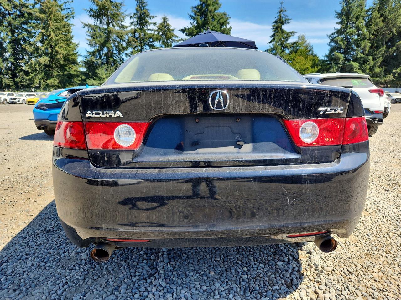 2005 Acura Tsx Black vin: JH4CL96975C001911