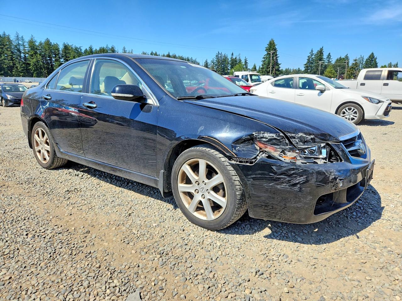2005 Acura Tsx Black vin: JH4CL96975C001911