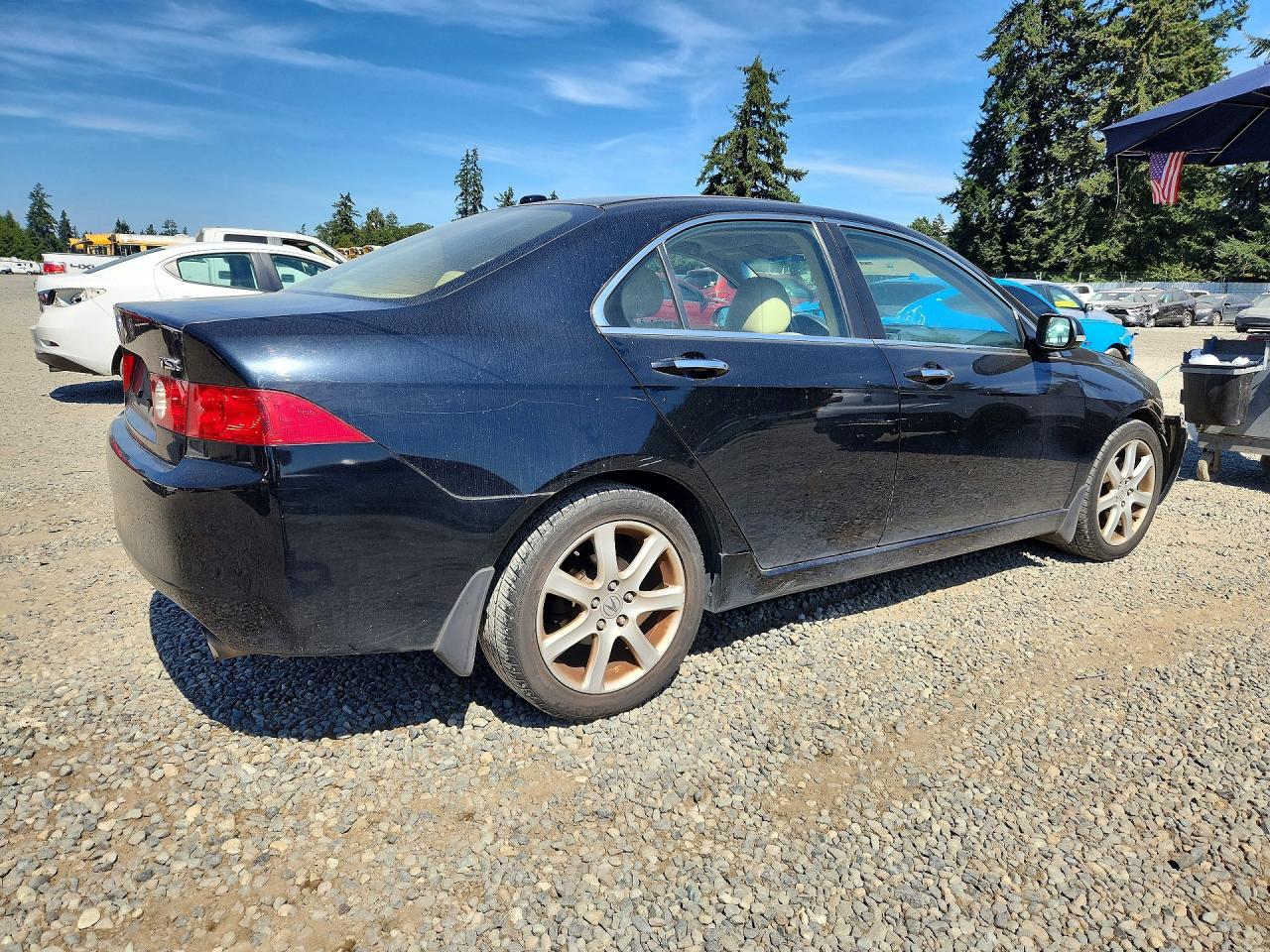 2005 Acura Tsx Black vin: JH4CL96975C001911