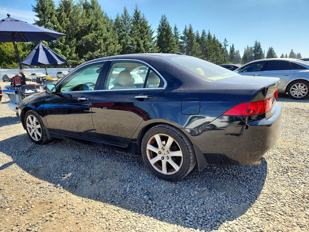 2005 Acura Tsx Black vin: JH4CL96975C001911
