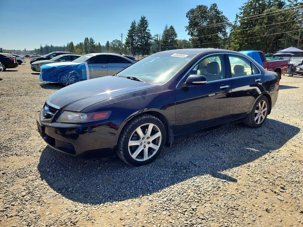 2005 Acura Tsx Black vin: JH4CL96975C001911