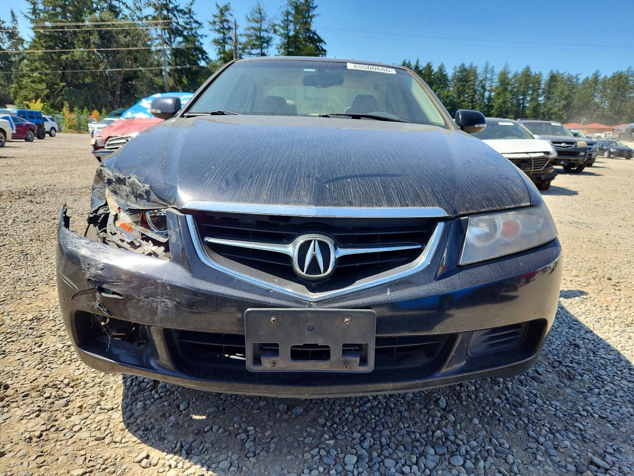 2005 Acura Tsx Black vin: JH4CL96975C001911