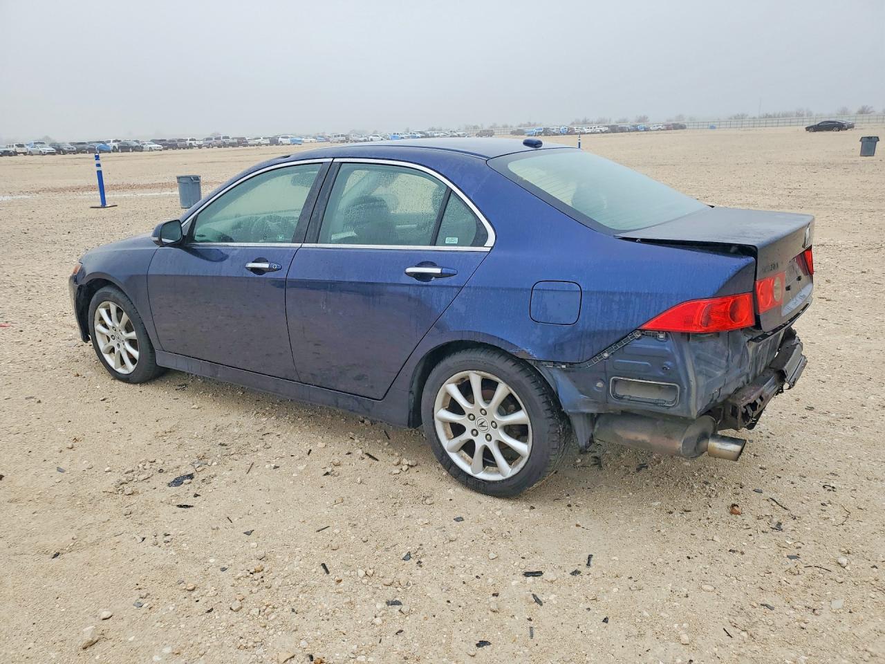 2006 Acura Tsx Se Blue vin: JH4CL96976C020721