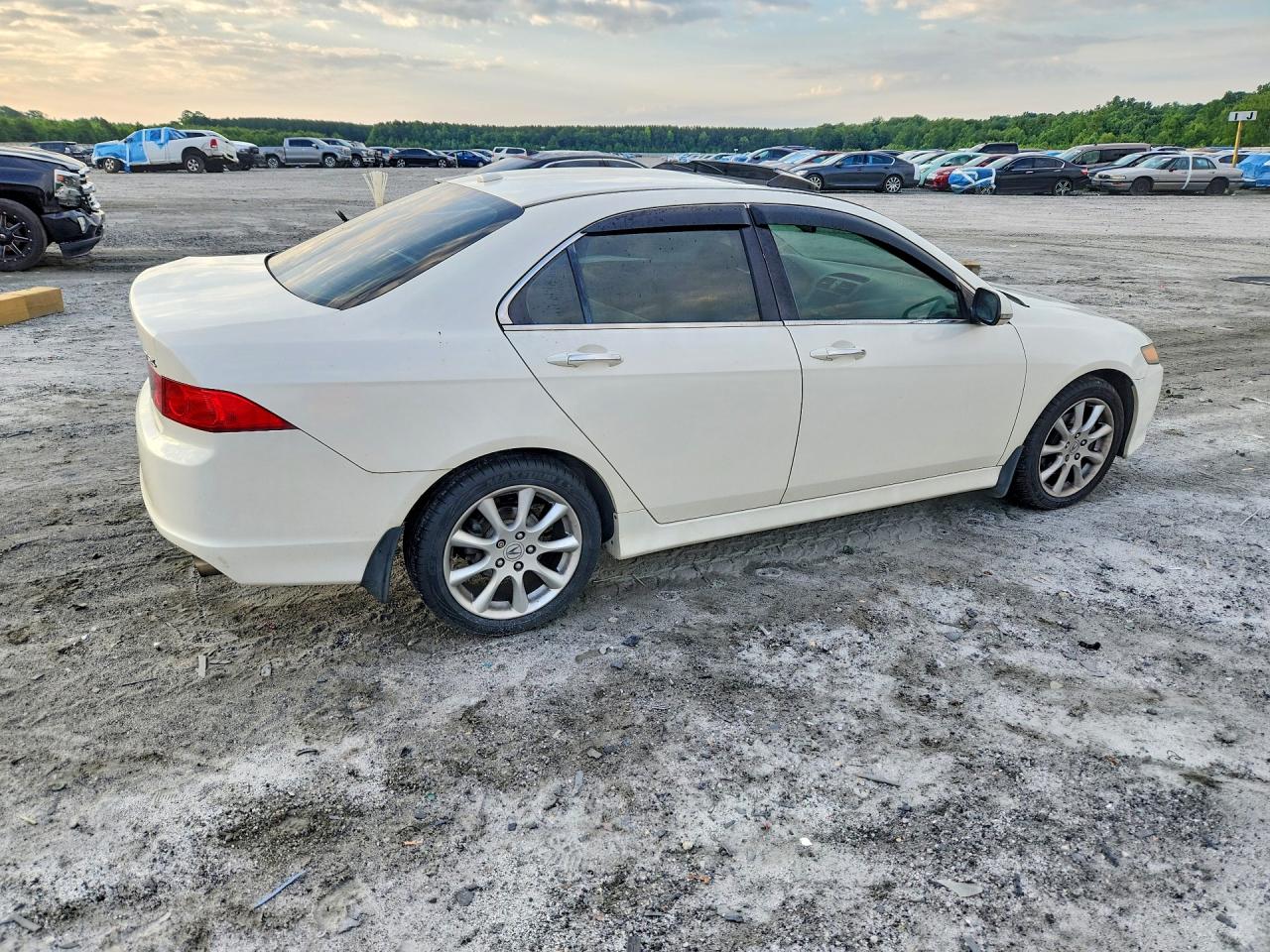 2007 Acura Tsx White vin: JH4CL96977C013298
